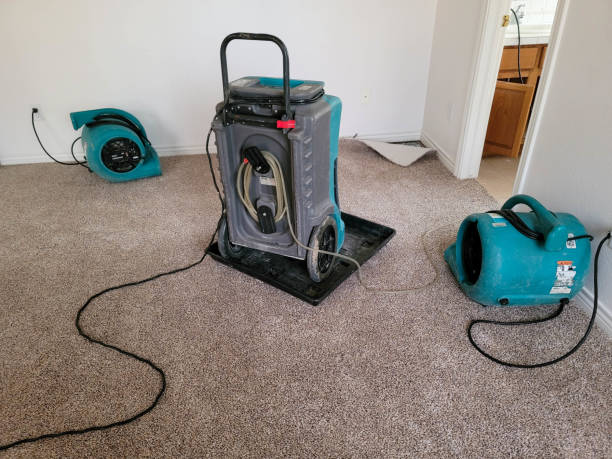 Best Professional water damage repair  in Sharpsville, PA
