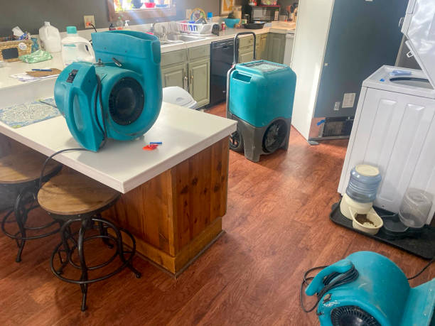Best 24-hour water damage restoration  in Sharpsville, PA