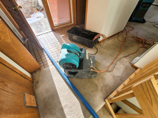 Best Commercial water damage restoration  in Sharpsville, PA