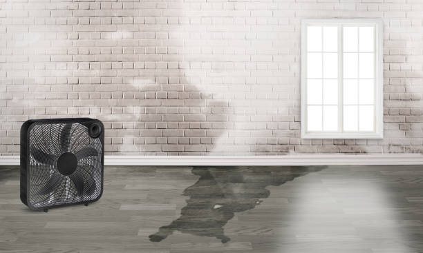 24/7 water damage repair in Sharpsville, PA