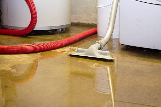  Sharpsville, PA Water damage restoration Pros