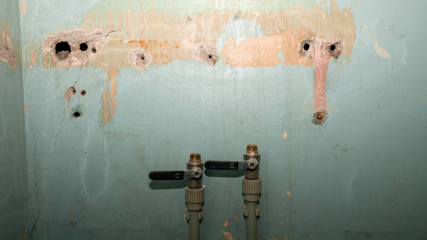 Best Emergency water damage restoration  in Sharpsville, PA